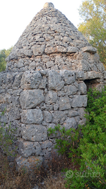 Terreno con trullo in Puglia