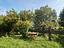 Immagine 18