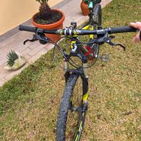 SCOTT SCALE 30 IN CARBONIO