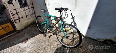 bici da uomo