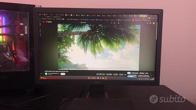 Monitor Benq ZOWIE RL2455 24" FULL HD 60HZ