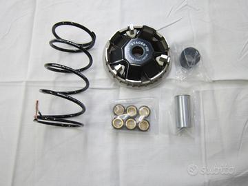 Variatore STAGE 6 Sport Pro per Piaggio tutti Mode