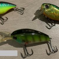 Esche artificiali da bass 2