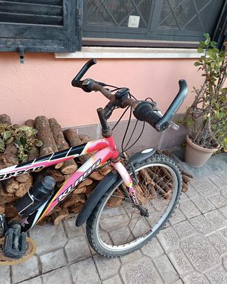 Mountain bike 24