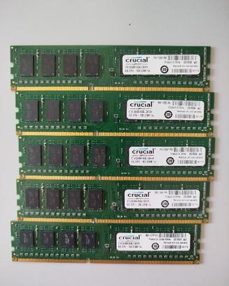 Lotto 5 banchi RAM Crucial 4GB DDR3 1600MHz