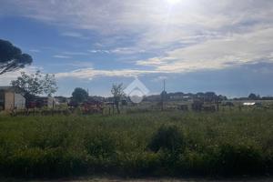 TERRENO A CERVIA