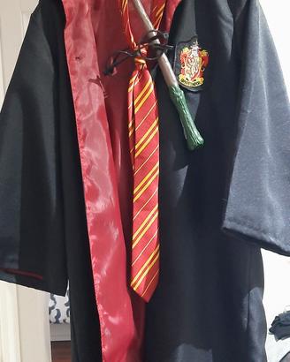 vestito Harry Potter