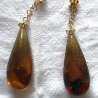 Orecchini  Ambra Baltica Nat. Butterscotch -fi 800