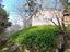 Immagine 14