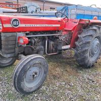 Trattore Ferguson 165