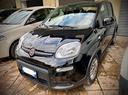 fiat-panda-1-0-firefly-s-s-hybrid-city-life