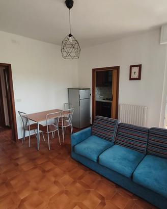 Bilocale a Cizzolo di Viadana
