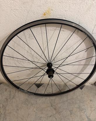 Ruote campagnolo