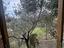 Immagine 18