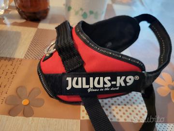 pettorina  cani julius K9