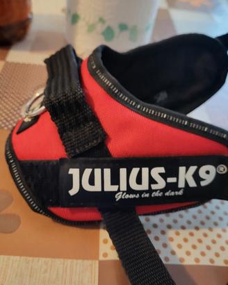 pettorina  cani julius K9