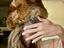 Immagine 2