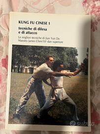 Kung fu cinese 1 tecniche di difesa e di attacco