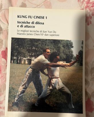 Kung fu cinese 1 tecniche di difesa e di attacco