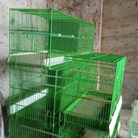 gabbie cova canarini 