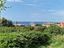 Immagine 14