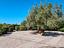 Immagine 26
