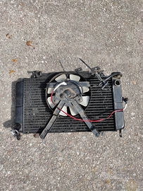 Radiatore Yamaha