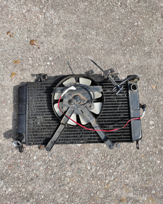 Radiatore Yamaha