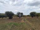 ter-agricolo-a-polignano-a-mare