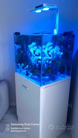 ACQUARIO MARINO 