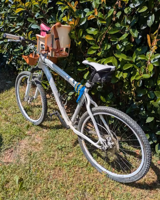 Specialized 26''