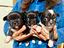 Immagine 1