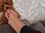 Immagine 6