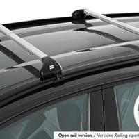 Barre da tetto auto telescopiche