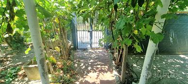 VILLA SINGOLA A BORGIA