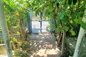 VILLA SINGOLA A BORGIA