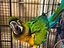 Immagine 2
