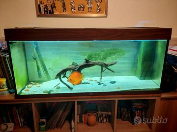 acquario juwel 240 lt cm 120 più filtro esterno