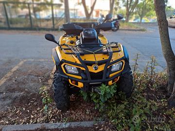 Quad Brt.