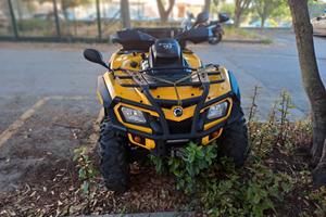 Quad Brt.