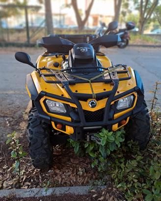 Quad Brt.
