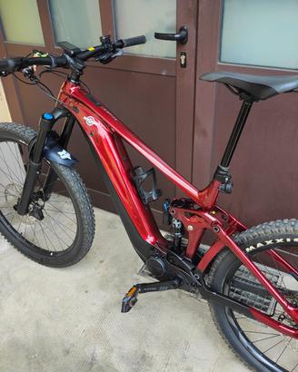 Bici elettrica