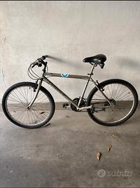 Bicicletta California cerchi da 24 taglia M grigia