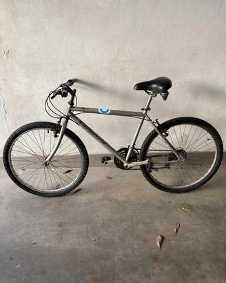 Bicicletta California cerchi da 24 taglia M grigia