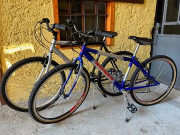 Bicicletta mountain bike