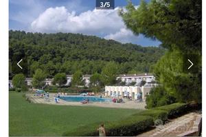 I Delfini Residence, Pugnochiuso