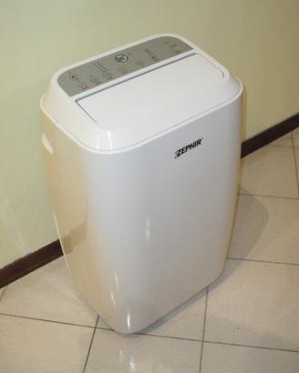 CLIMATIZZATORE / DEUMIDIFICATORE (+riscaldamento)