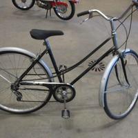 Bici donna Wander da 28