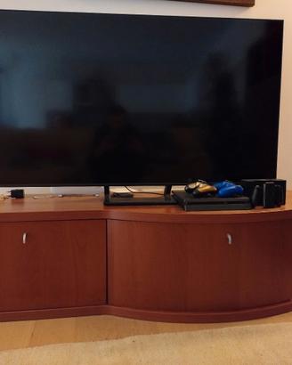 MOBILE TV 