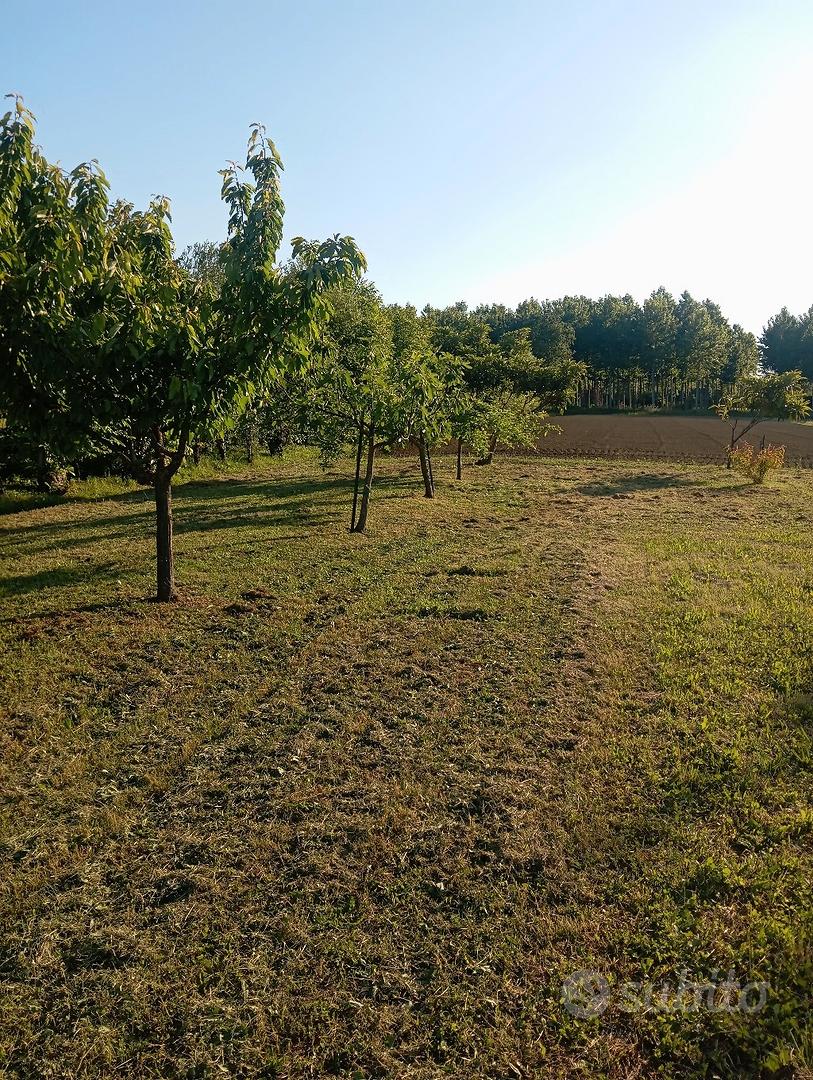 terreno edificabile ed agricolo - Vista 2